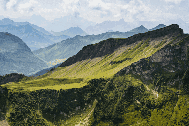 Woodrocks Trail Run 2026 - Descriere, locație, curse, trasee și…