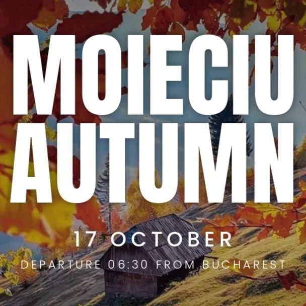 MOIECIU AUTUMN