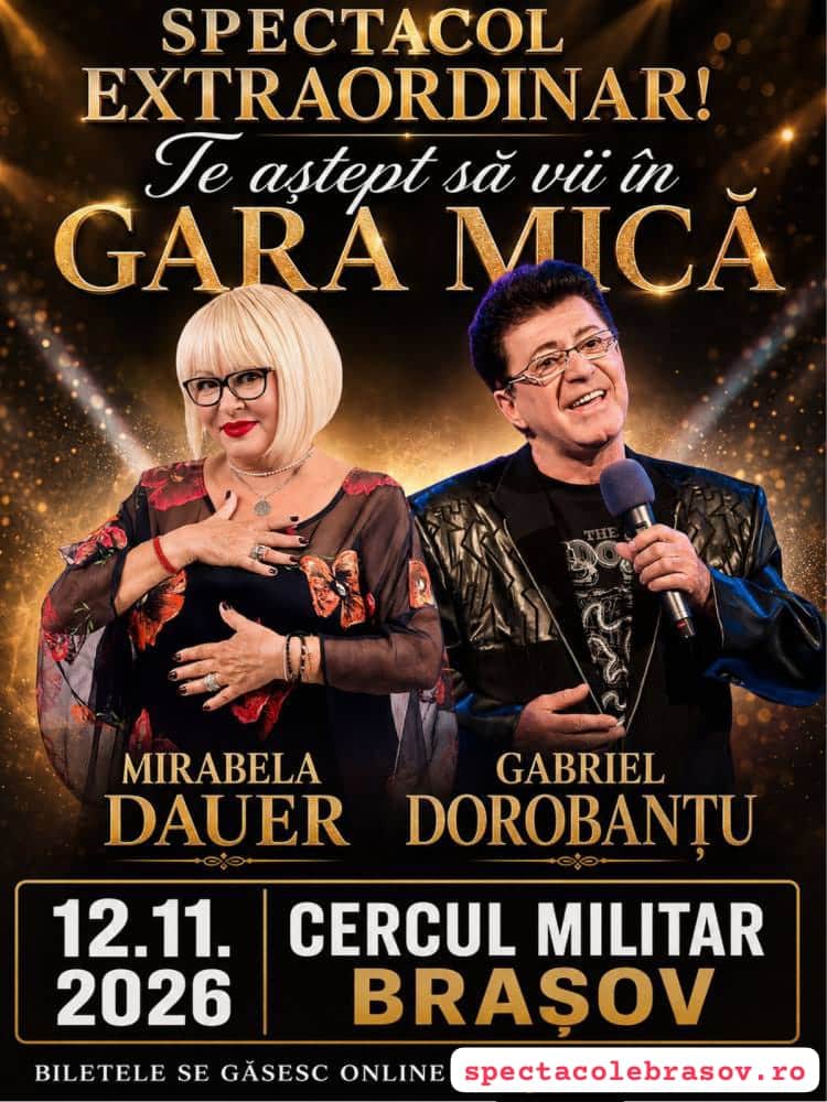 Te astept sa vii in gara mica