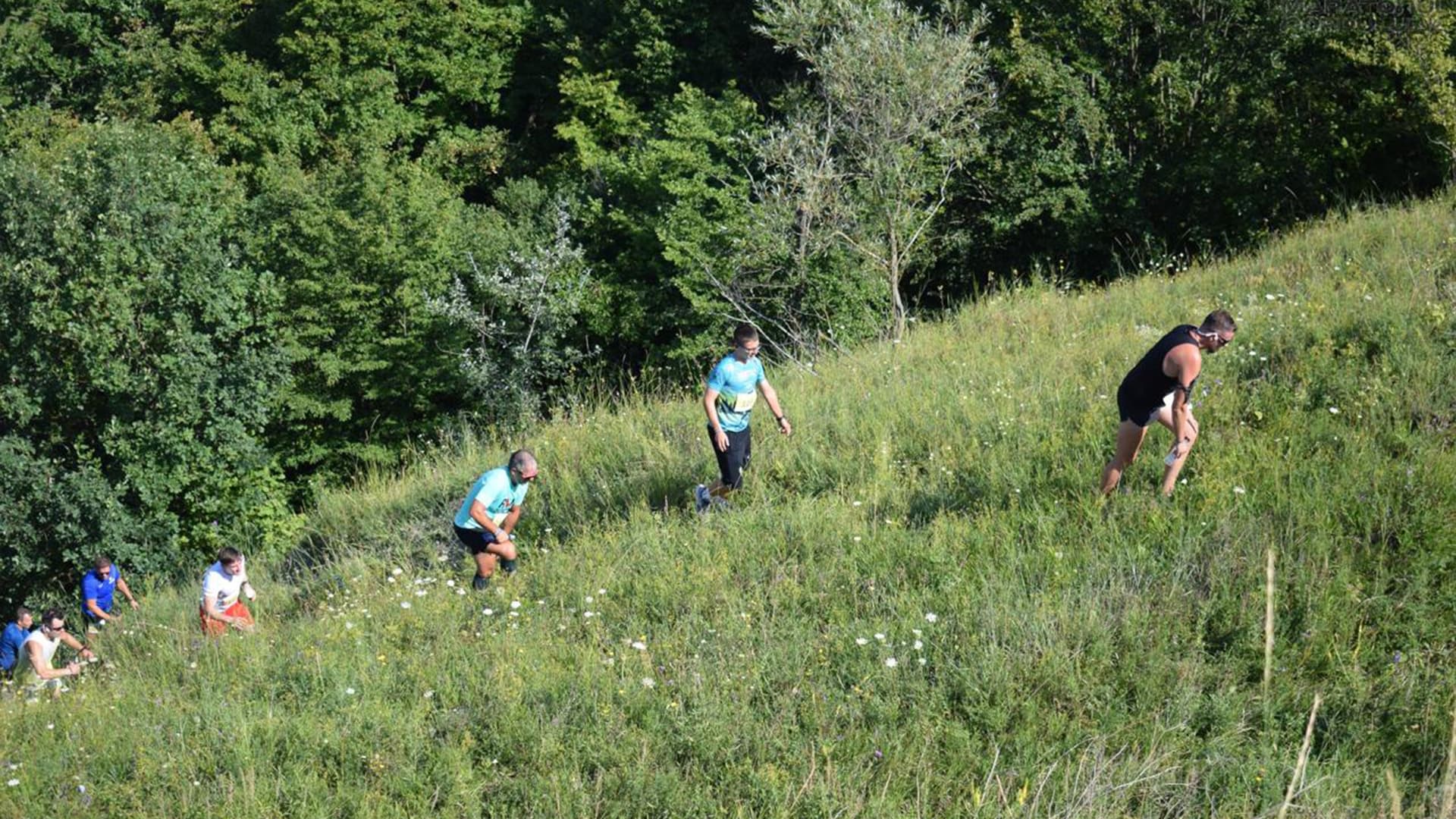 Maratonul Nordului - Teioasa Trail 2026 - Descriere, locație, curse,…