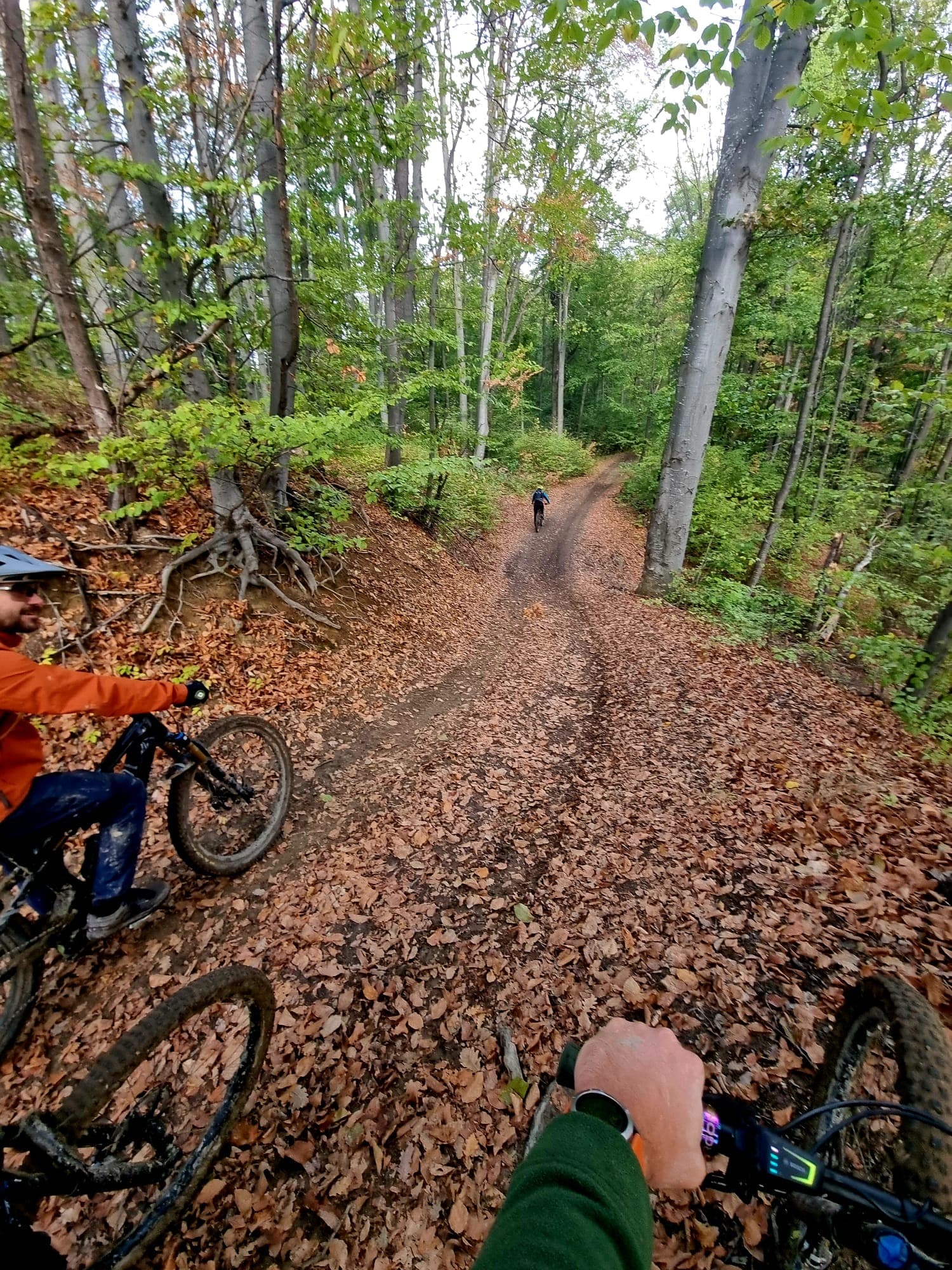 ​Aventura MTB la Rapa Diavolului: Plaiul Melicesti, Bustenari si Flow la Campina