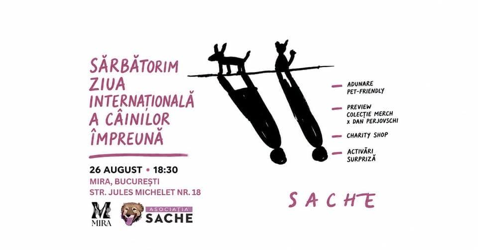 Sărbătorim împreună Ziua Internațională a Câinilor