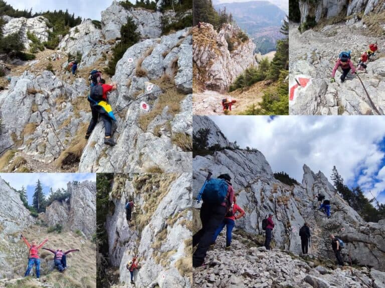 Circuit de Drumetie in PIATRA CRAIULUI:  Varfurile: Turnu si Padina Popii