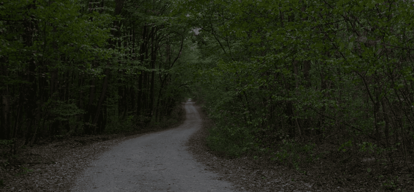 Zăvoi Trail Comana 2026 - Descriere, locație, curse, trasee și hărți…