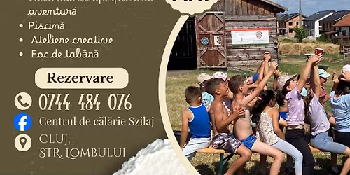 TABĂRĂ DE ECHITAȚIE CU CAZARE