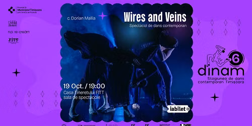 Stagiunea DINAM #6: Wires and Veins