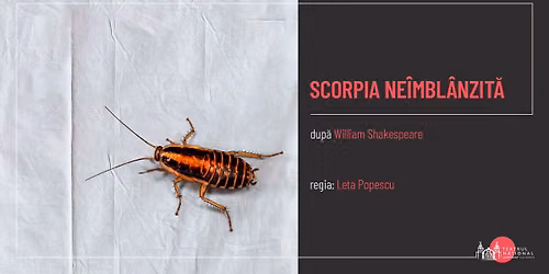 SCORPIA NEÎMBLÂNZITĂ