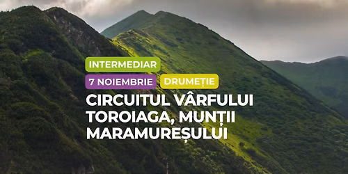 Drumeție intermediar: Circuitul Vârfului Toroiaga, Munții Maramureșului