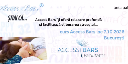 Curs Access Bars