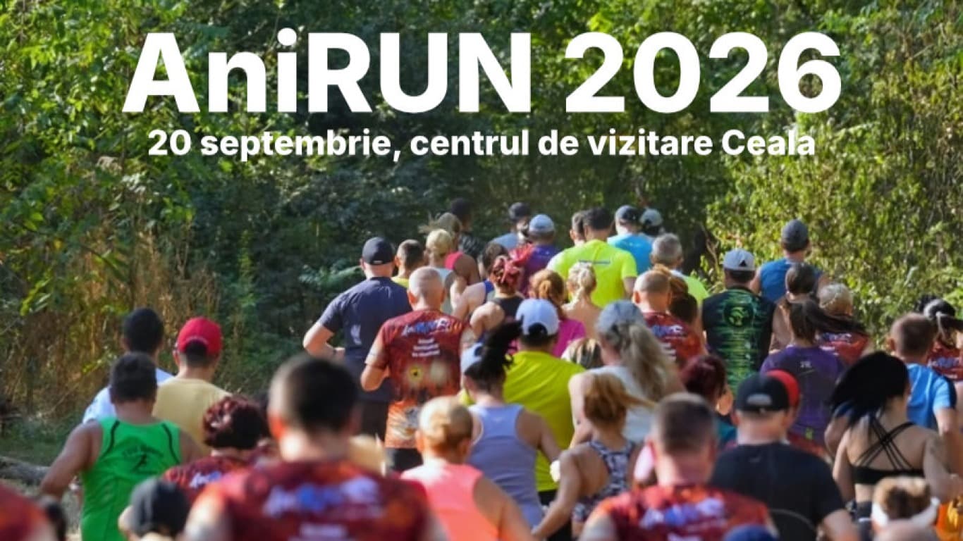 AniRUN 2026