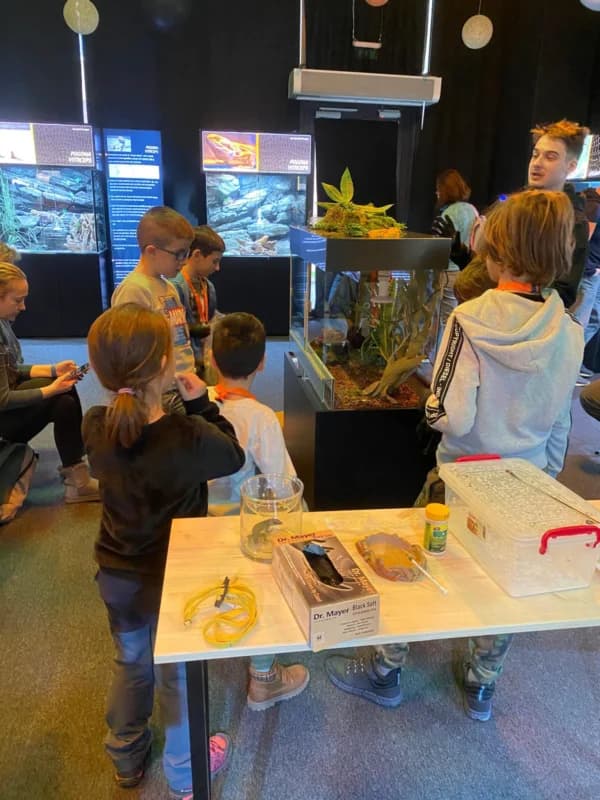 Clubul Pasionaților de Reptile și Mediu Tropical – Ce mânâncă reptilele?