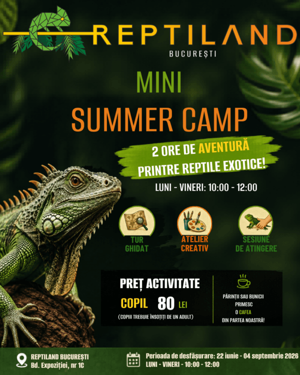 Mini Summer Camp Reptiland