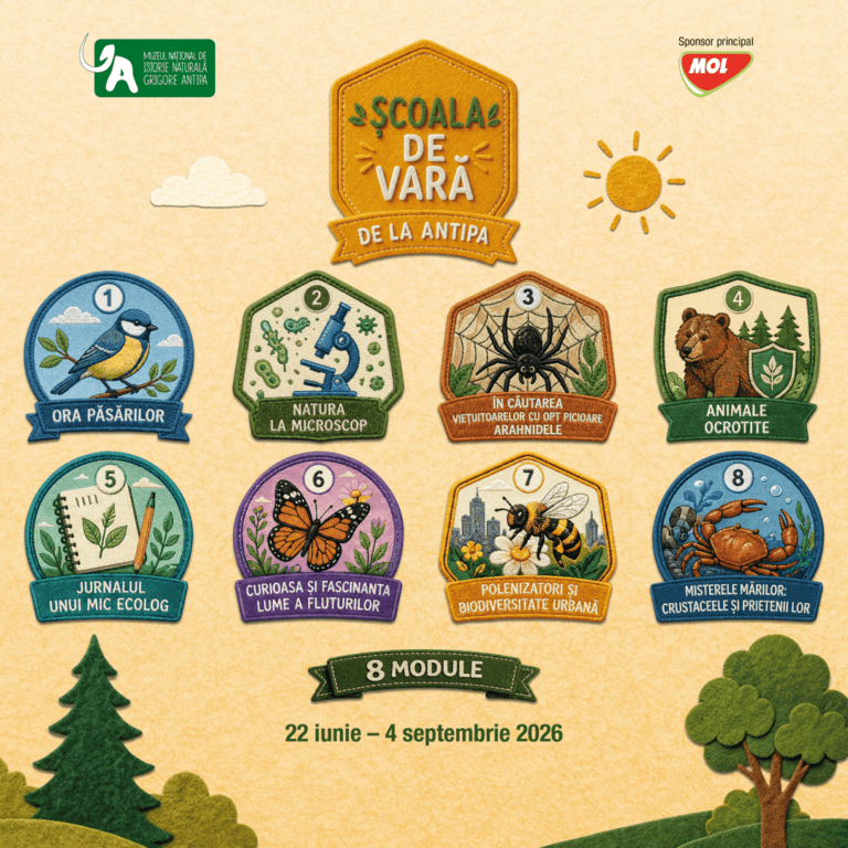 Școala de Vară la Antipa 2026 – Polenizatori și biodiversitate urbană (5 zile)