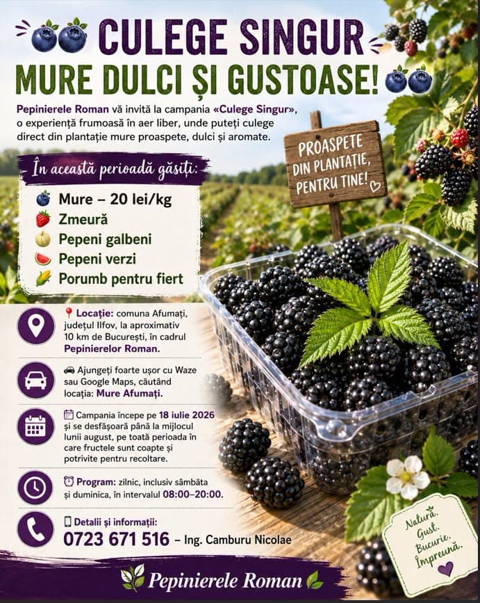 Culege Singur Mure Dulci și Gustoase