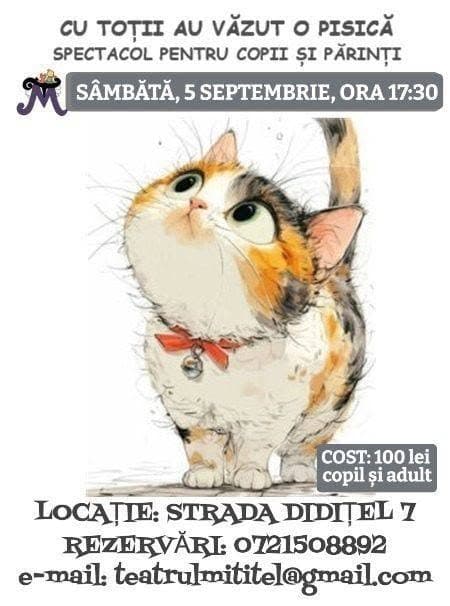 Cu toții au văzut o pisică