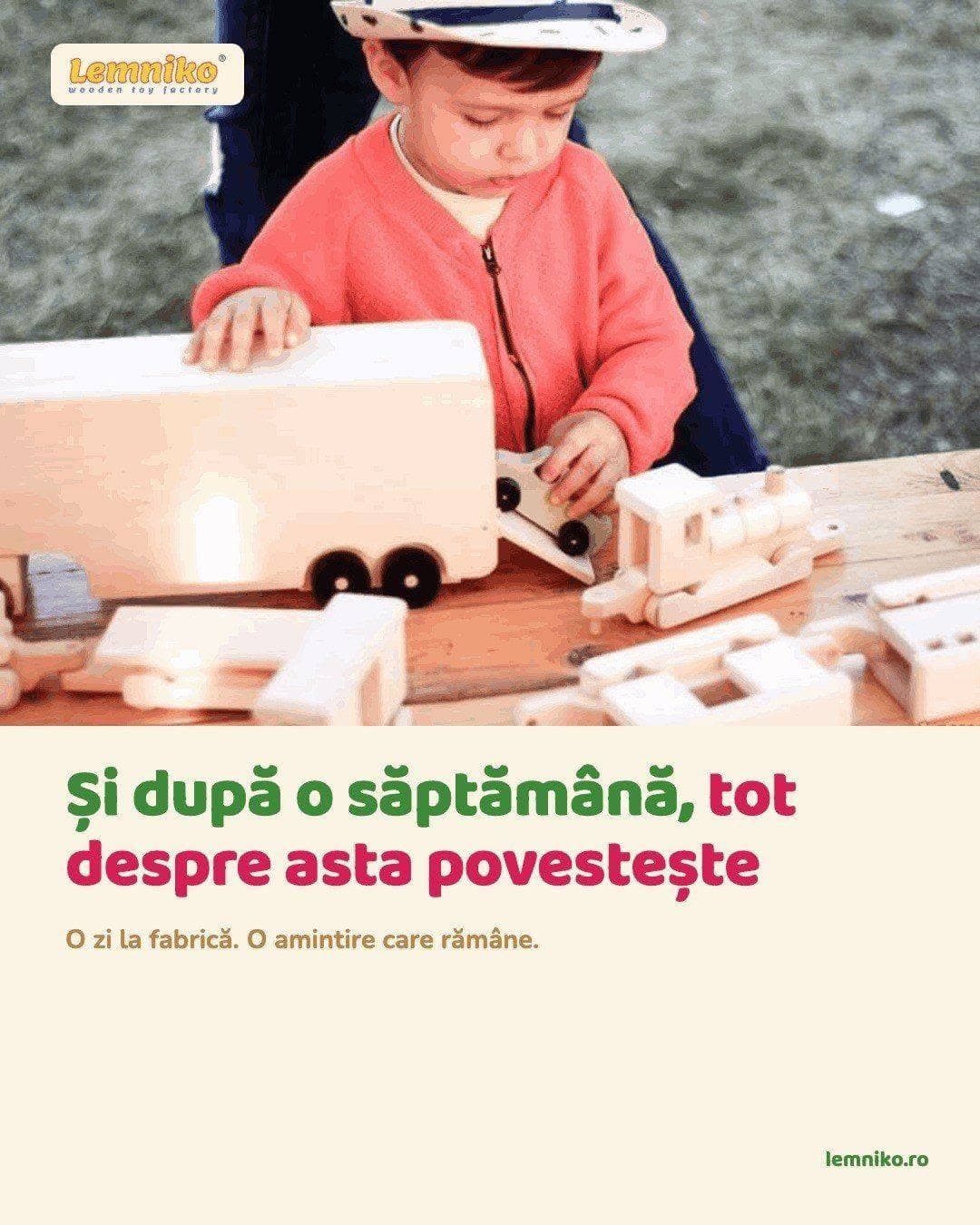 Vizită la Fabrica de Jucării Lemniko
