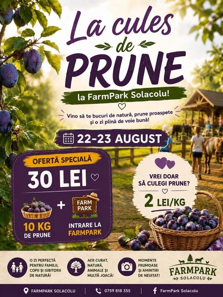 La cules de prune la FarmPark Solacolu