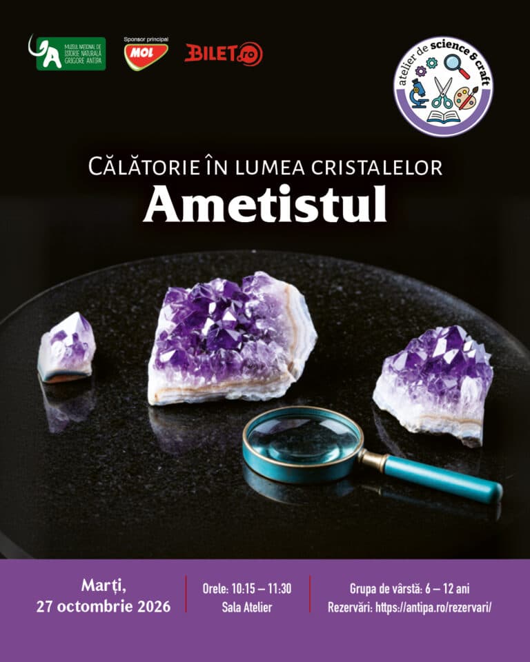 Călătorie în lumea cristalelor – Ametistul