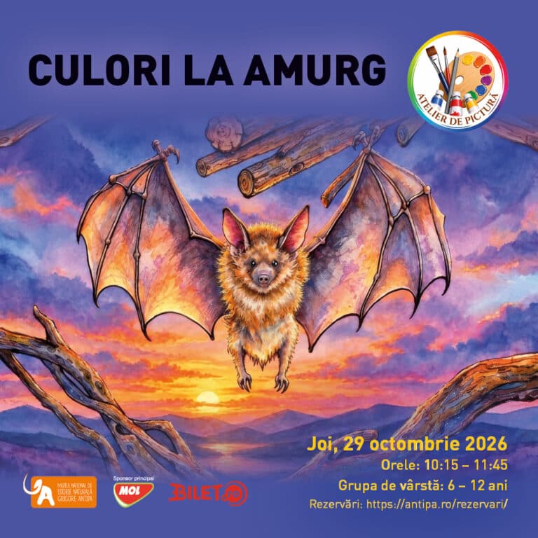 Culori la amurg – atelier de pictură despre lilieci