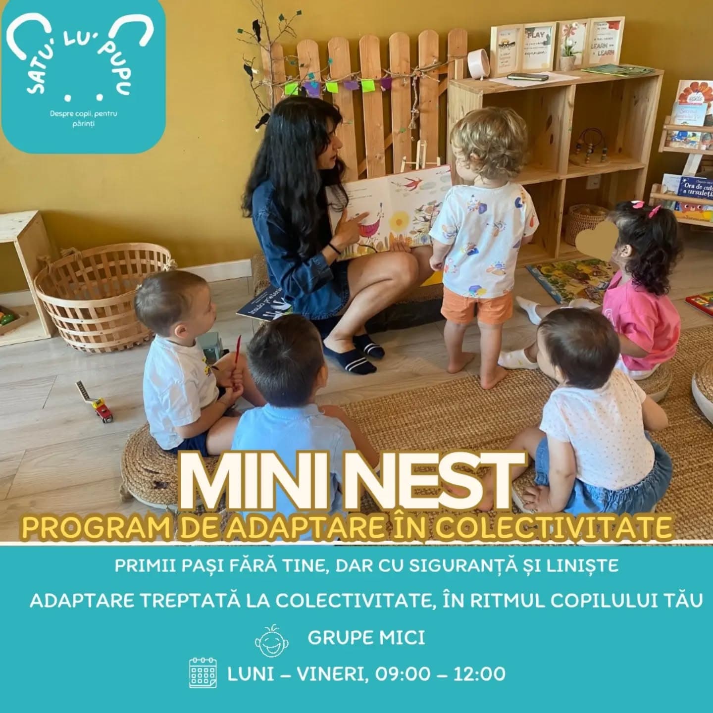 Mini Nest – Program de adaptare în colectivitate