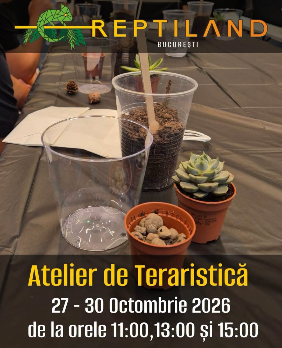 Atelier de Teraristică