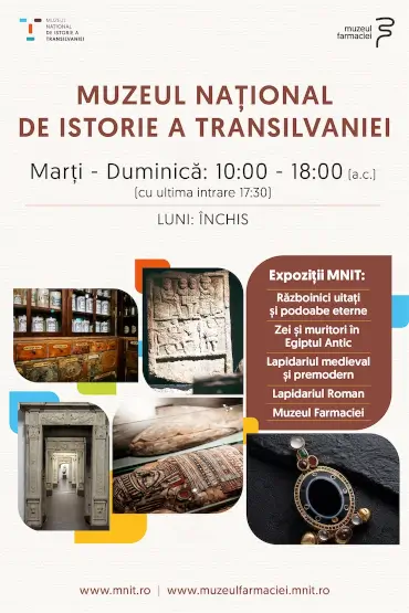 BILET DE INTRARE - Muzeul Național de Istorie a Transilvaniei